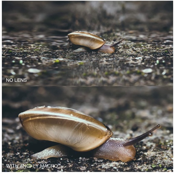 Phone Camera Lens - Picture 4 of 5